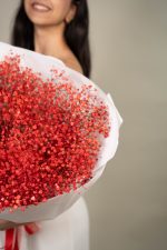 Gypsophilla Red - Image 3