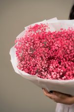 Gypsophilla Pink - Image 2
