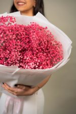 Gypsophilla Pink - Image 3