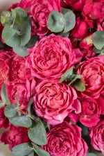 Spray Rose Julietta Fuchsia - Image 4