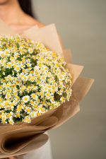 Field Of Daisies - Image 3