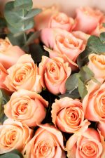 Rose Harmony Blooms - Image 4