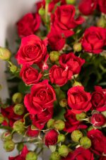 Spray Roses Red - Image 4