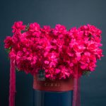 Floyds Fuchsia  Bloom Box