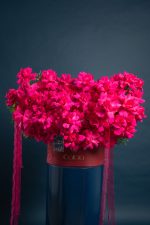 Floyds Fuchsia  Bloom Box