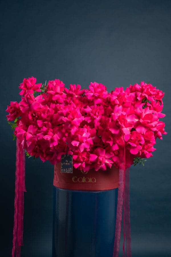 Floyds Fuchsia  Bloom Box