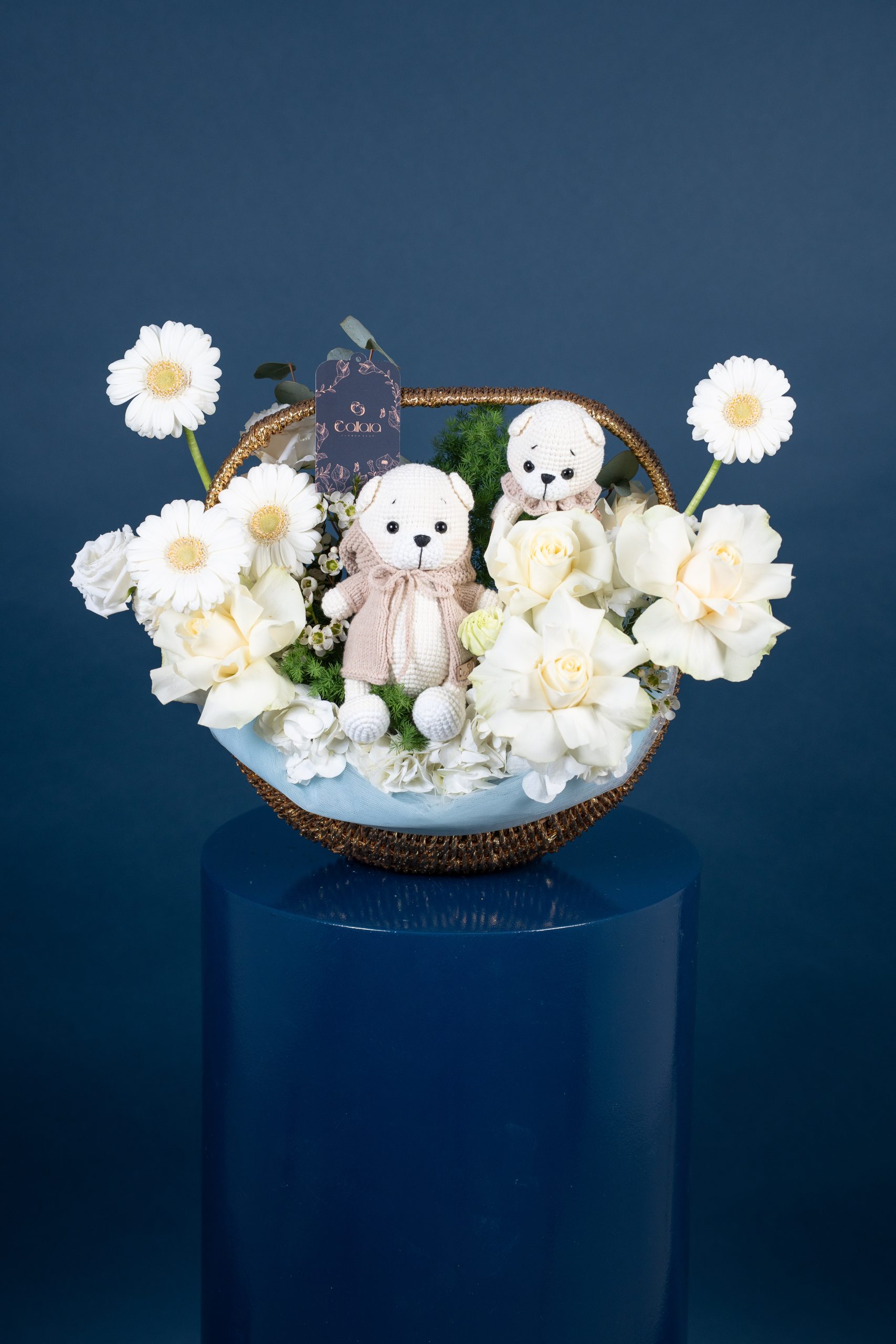 DSC06462 Baby Bear's Garden - Image 1