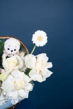 Baby Bear's Garden - Image 3