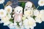 Baby Bear's Garden - Image 4