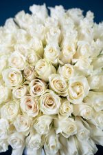 White Whisper - Image 4