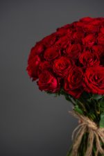 Crimson Cascade - Image 3