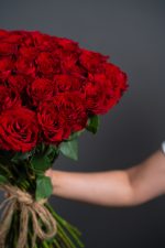 Crimson Cascade - Image 2