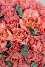 Hermosa Serenity - Image 4