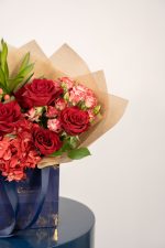 Soft Elegance - Image 3