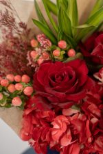 Soft Elegance - Image 4