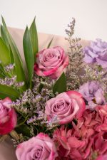 Coral Blush - Image 4