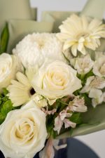 Ethereal Spark - Image 4