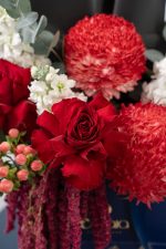 Scarlet Majesty - Image 4