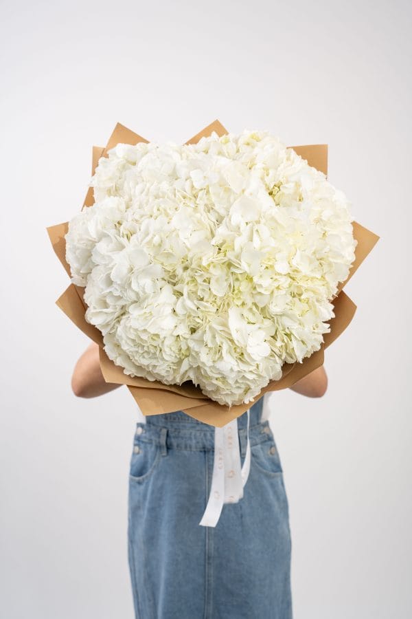 Pure White Hydrangea Hand Tied Bouquet