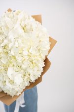 Hydrangea Pure White - Image 2