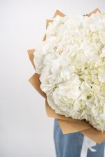 Hydrangea Pure White - Image 3