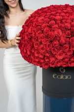 Crimson Crown - Image 2