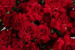 Basket Of Red Roses - Image 4