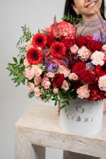 Scarlet Delight - Image 2