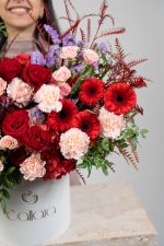 Scarlet Delight - Image 3