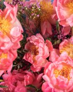 Sunfire Bloom - Image 4