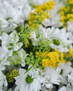 Bright Days - Image 3