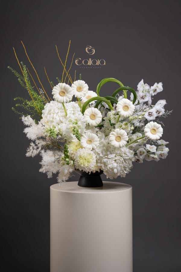 White Amour