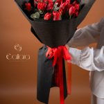 Red Tulip Black