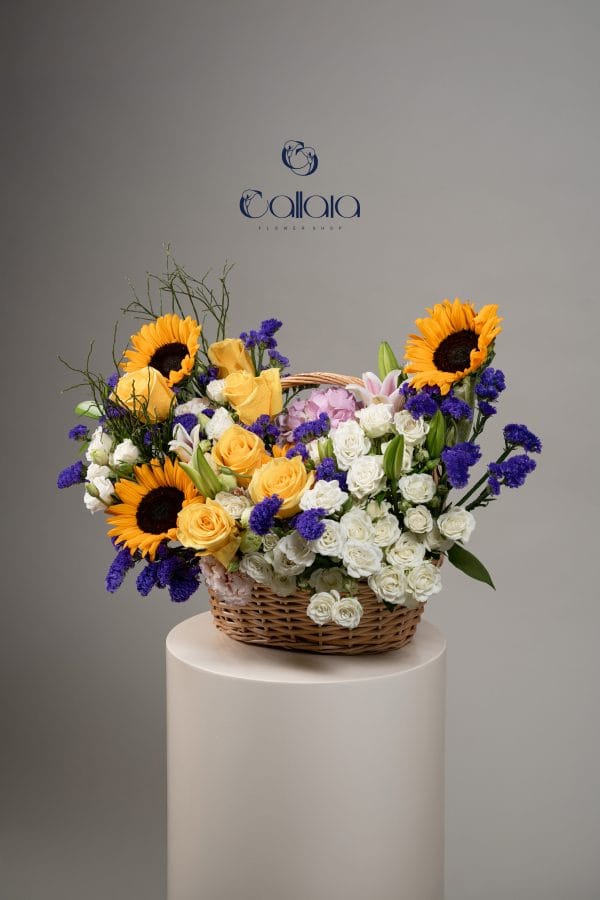Sunflower Melody