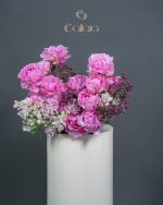 Cotton Candy Chaos - Image 5