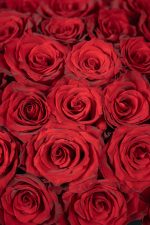 Red Rose Luxury Box - Image 4
