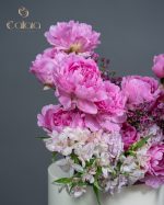 Cotton Candy Chaos - Image 3