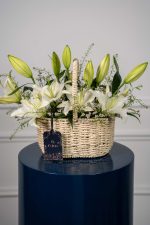 Lily Haven - Image 4