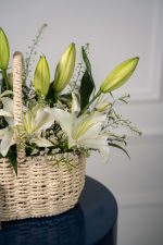 Lily Haven - Image 3