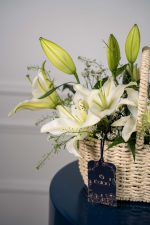 Lily Haven - Image 2