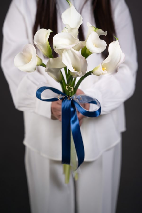Calla Lily