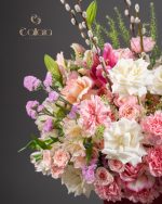 Velvet Bloom - Image 2