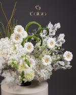 White Amour - Image 2