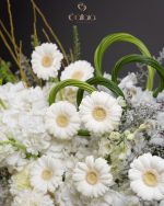 White Amour - Image 4