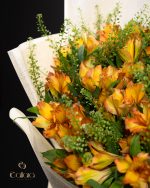 Sunrise Delight - Image 3