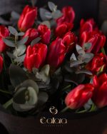 Red Tulip Black - Image 4