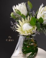 Protea Poise - Image 3