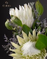 Protea Poise - Image 4