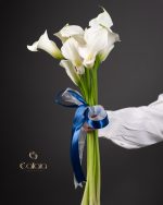 Calla Lily - Image 2