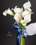 Calla Lily - Image 3